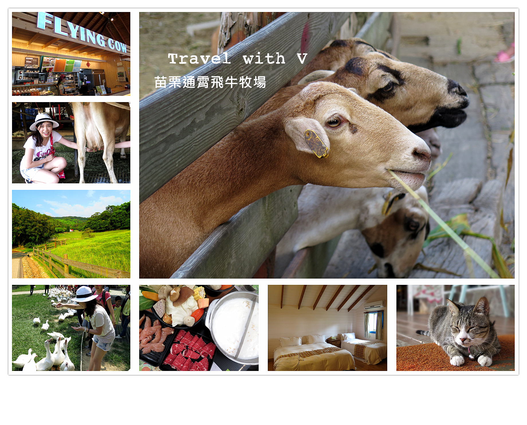Read more about the article 【苗栗 ･ 通霄景點】飛牛牧場<br />兩天親子遊 │ 親親小動物  (PART I)