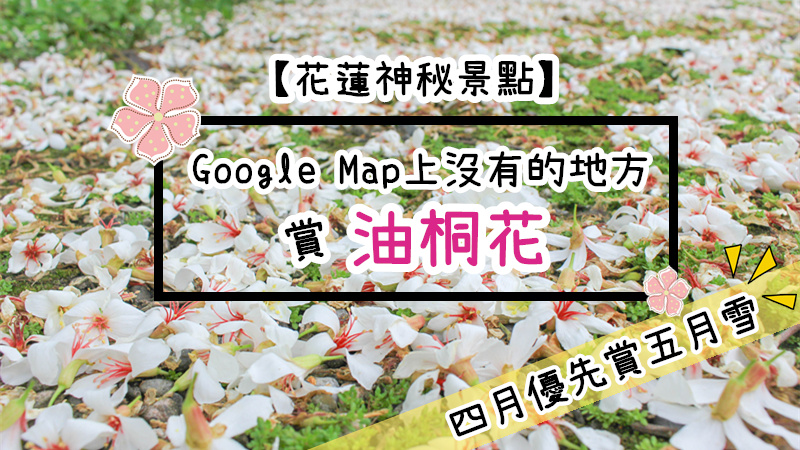 【花蓮市秘密景點】Google Map上沒有的地方賞油桐花│四月優先賞五月雪