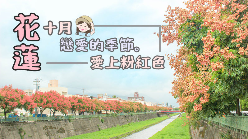 【花蓮 ･ 吉安景點】秋天打卡！最夢幻少女粉紅系的路段