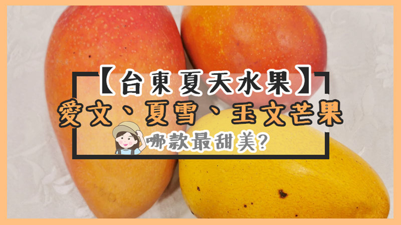 【台東夏天水果】愛文、夏雪、玉文芒果 哪款最甜美？