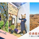 【 山口縣自由行必去！ 】 日本在地人推薦：七個 山口縣景點 ＆ 體驗